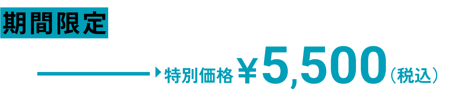 期間限定 新規ご入会キャンペーン